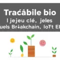 Traçabilité bio : enjeu clé, outils Blockchain IoT ERP