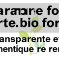 Marque bio forte : stratégie transparente et authentique pour réussir